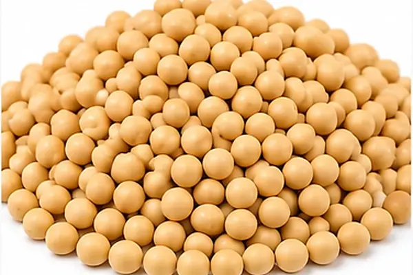 Soya Fasulyesi
